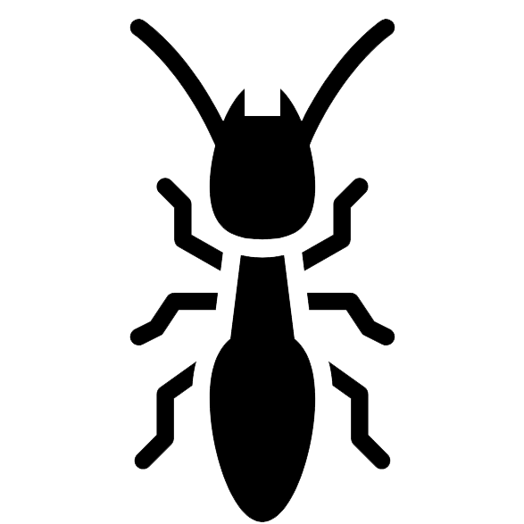 Termite Control